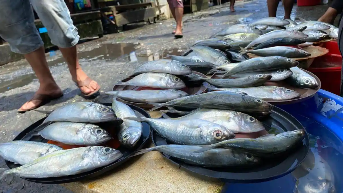 Harga Ikan di Pasar Mardika Ambon Masih Mahal, Sudah Berlangsung Tiga Pekan