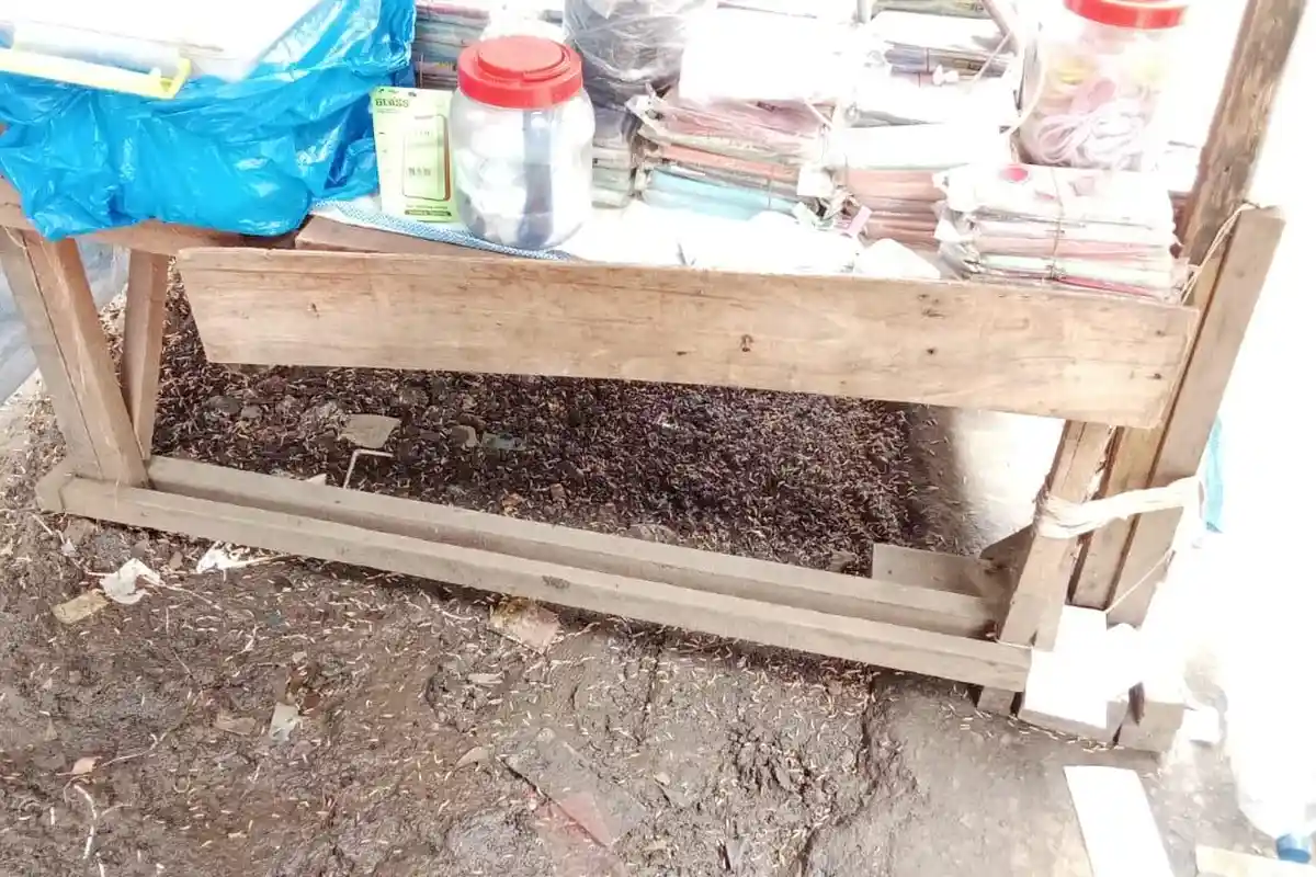 Jijik, Belatung Membiak di Lapak Pedagang Pasar Mardika Ambon Imbas Tumpukan Sampah Tak Diangkut