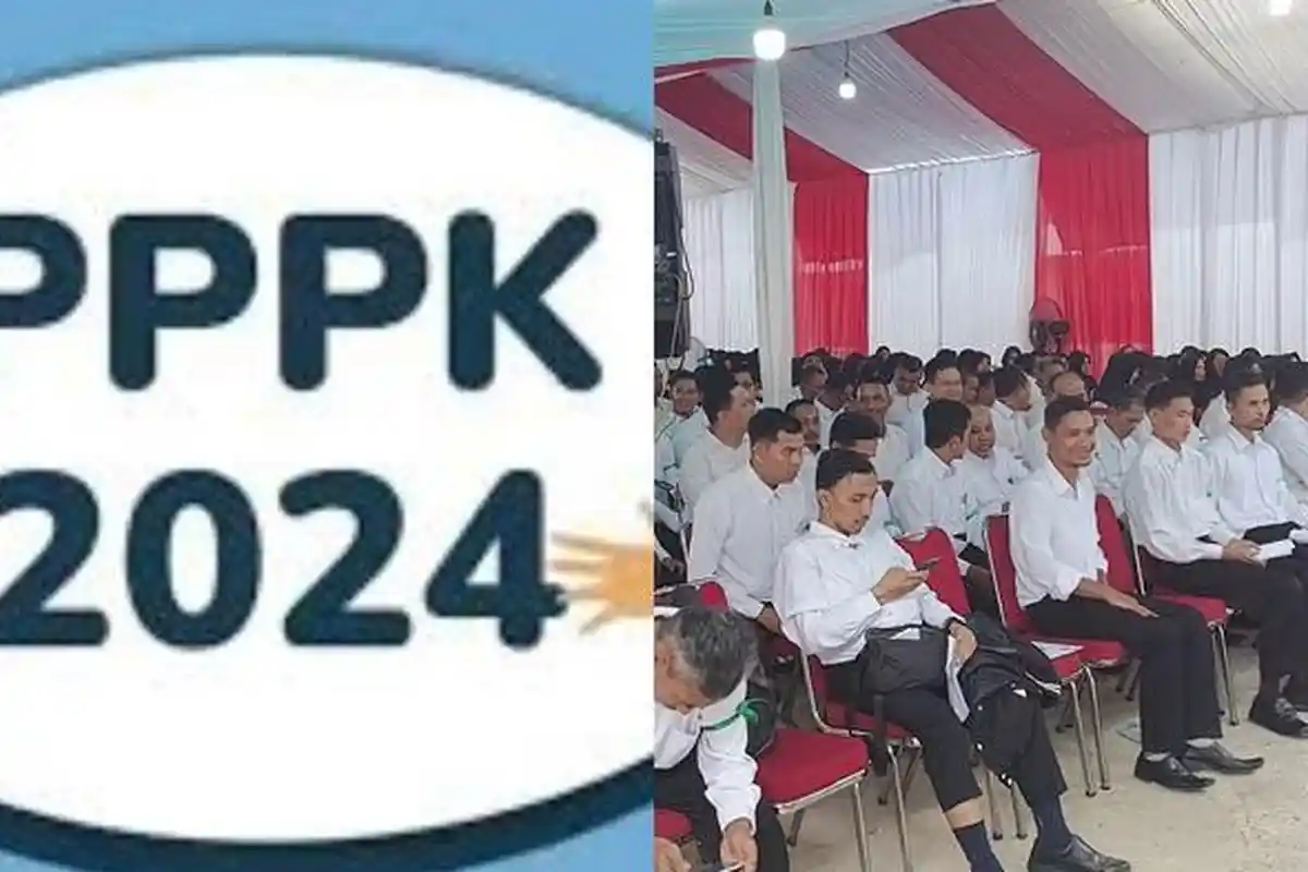 Resmi! Terjawab Sudah Berapa Gaji PPPK Paruh Waktu, Cek Besaran untuk S1 dan Tunjangan