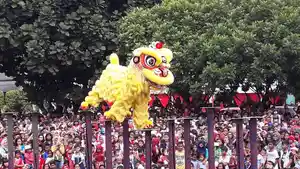 barongsai9.jpg
