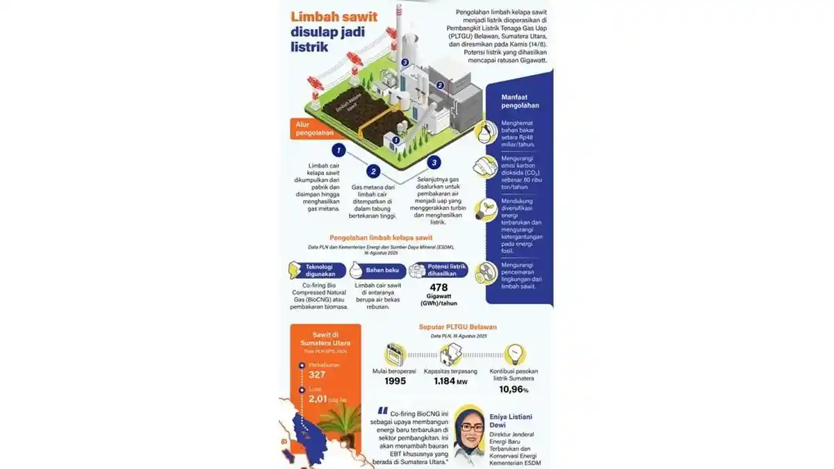 Limbah Sawit Disulap Jadi Listrik