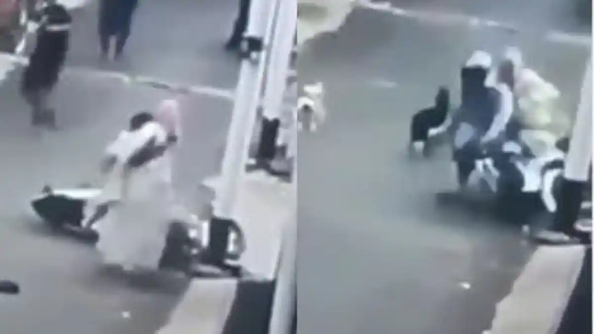 VIDEO Pengendara Motor Dikejar Anjing Hingga Anak yang Digendongnya Jatuh Tersungkur, Jadi VIRAL