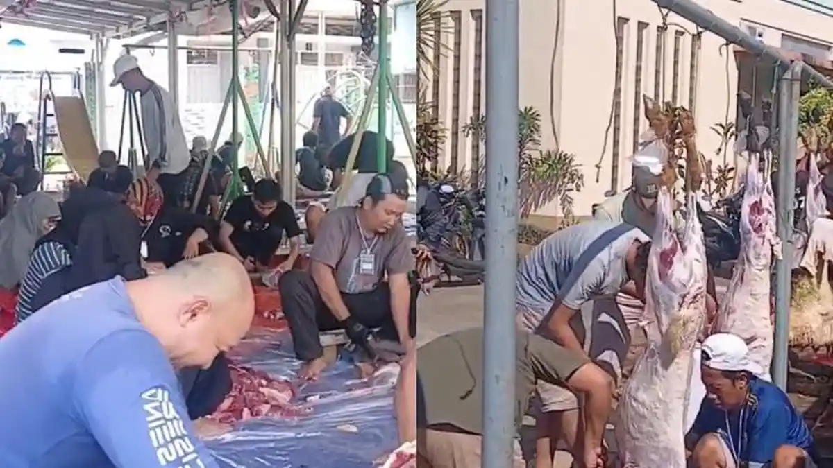 Semangat Gotong Royong Warnai Idul Adha di Cikareo Tangsel, 5 Sapi dan 24 Kambing Dikurbankan