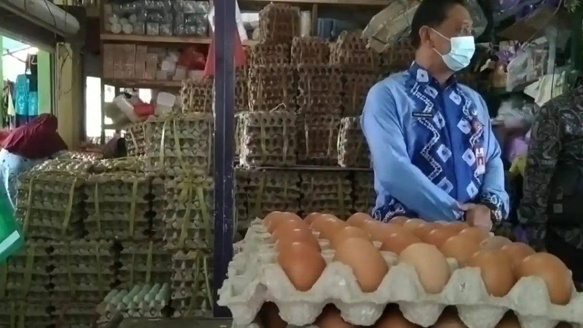 Diburu Pembeli di Tapin, Begini Sejumlah Manfaat Telur Ayam Ras