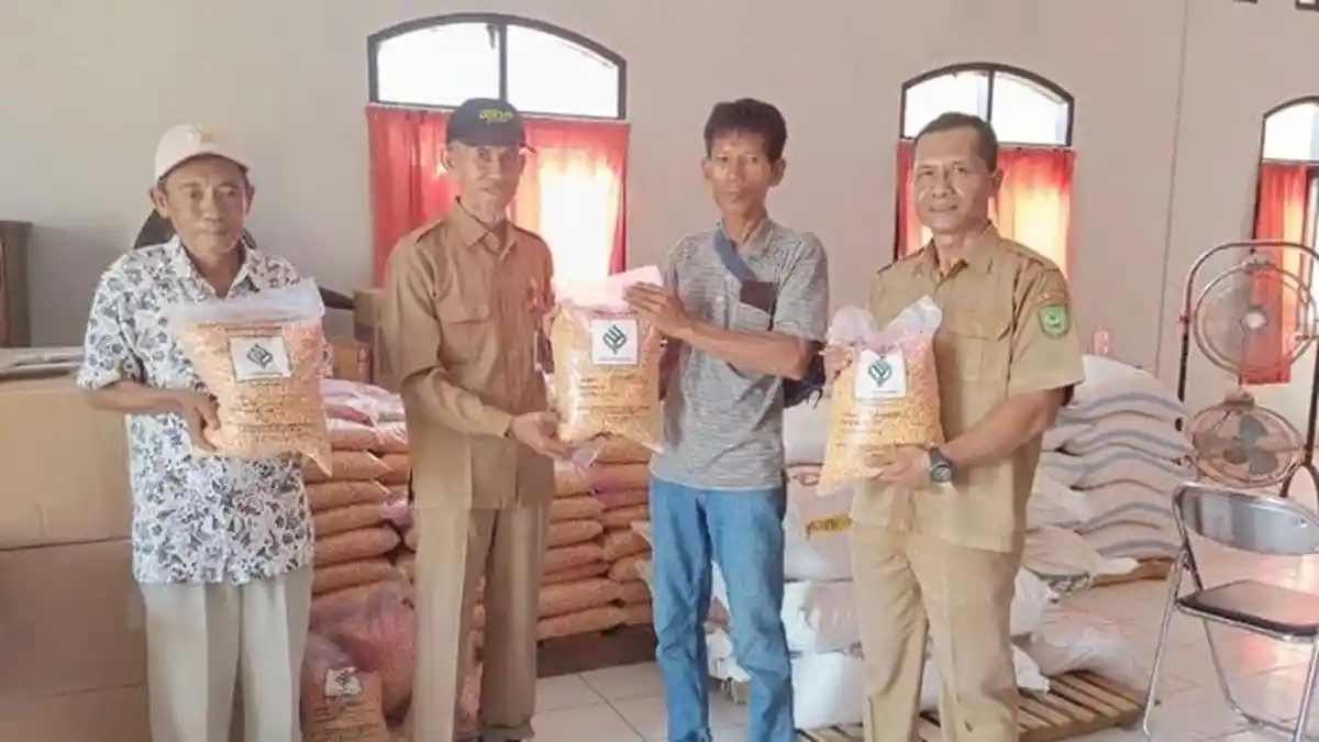 Menuju Mandiri Benih, Pemkab Berau Terima Bantuan 2.150 Kilogram Benih Jagung dari BSIP Kaltim