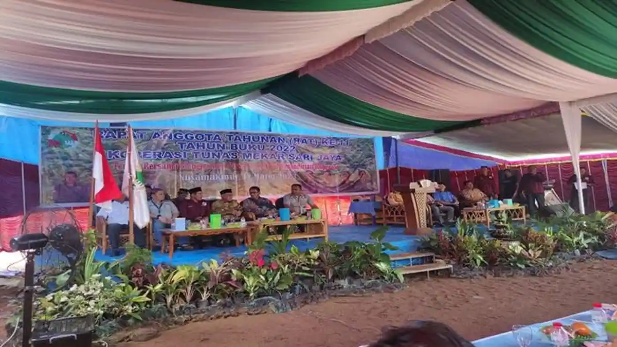 Lewat Program Agrosolution Pusri Tingkatkan Produksi Sawit di Banyuasin