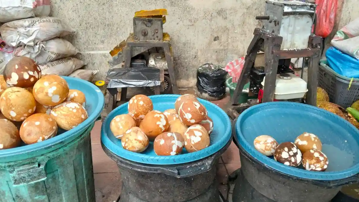 Harga Kelapa Parut Melambung Tinggi di Pasar Mardika Ambon, Pedagang : Banyak Diekspor