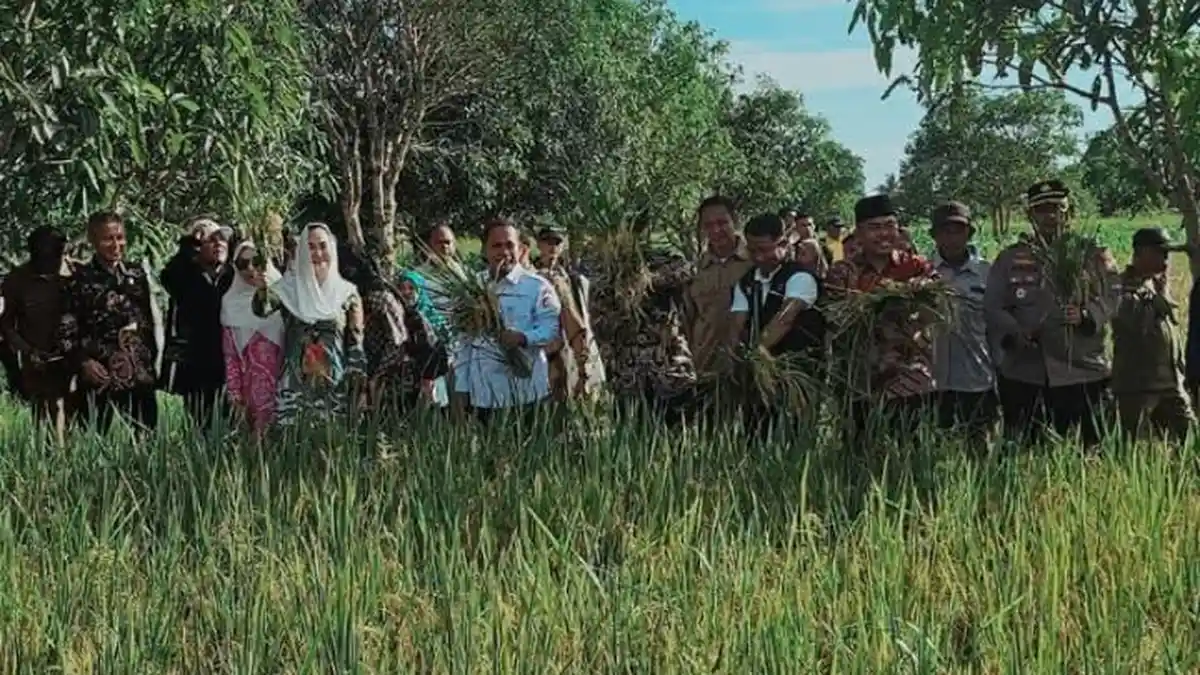 Panen Raya di Desa Payak, Bupati Natuna Turun ke Sawah dan Dengar Langsung Curhatan Petani