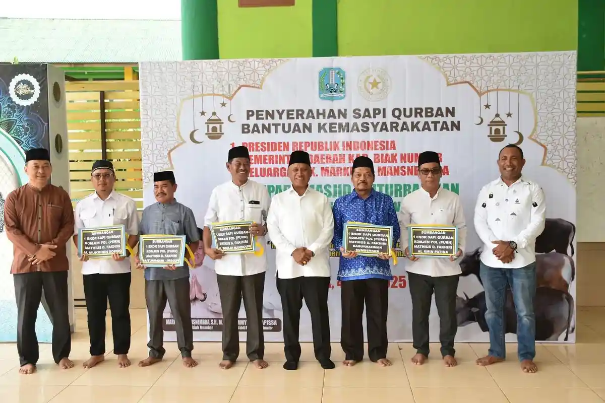 Bupati Biak Numfor Serahkan Sapi Kurban Bantuan Presiden Berbobot 973 Kilogram