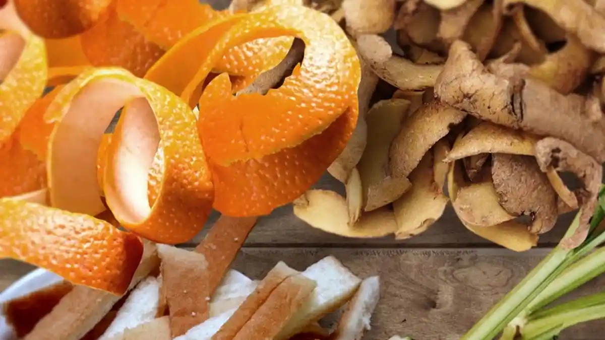 Jangan Buang Sisa Bahan Makanan, Ini Cara Mengolahnya Agar Jadi Hidangan Kaya Rasa
