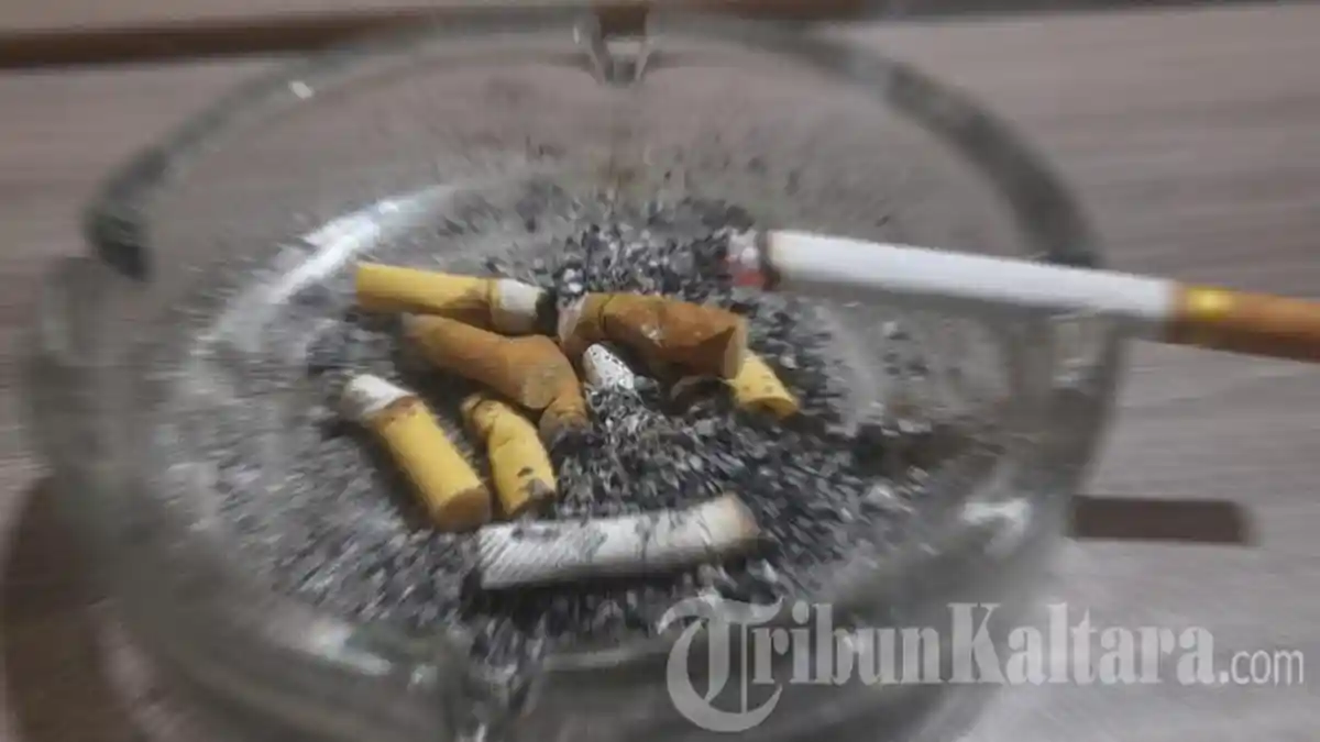 Merokok di Indonesia: Ancaman Besar bagi Kesehatan dan Ekonomi Bangsa