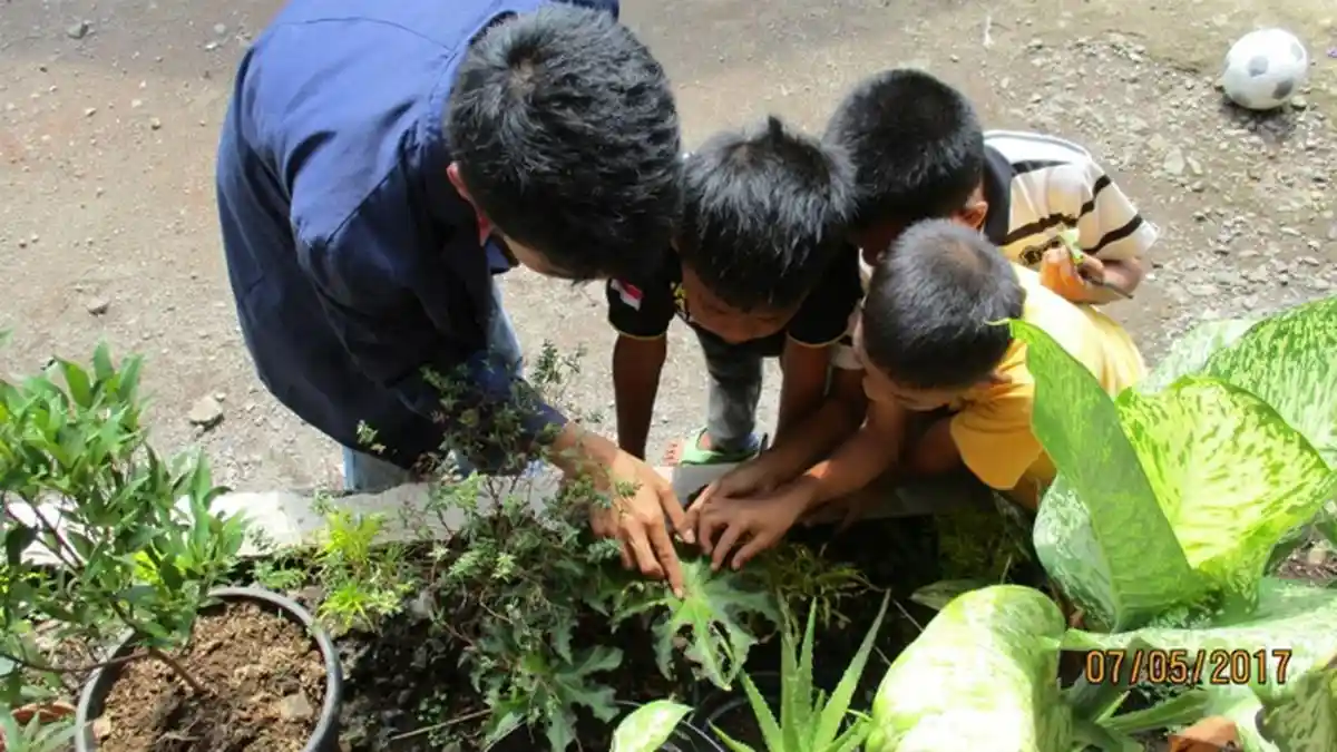 Mirip Pokemon Go! Mahasiswa IPB Ciptakan Metode Seru Kenalkan Tanaman Untuk Anak-Anak