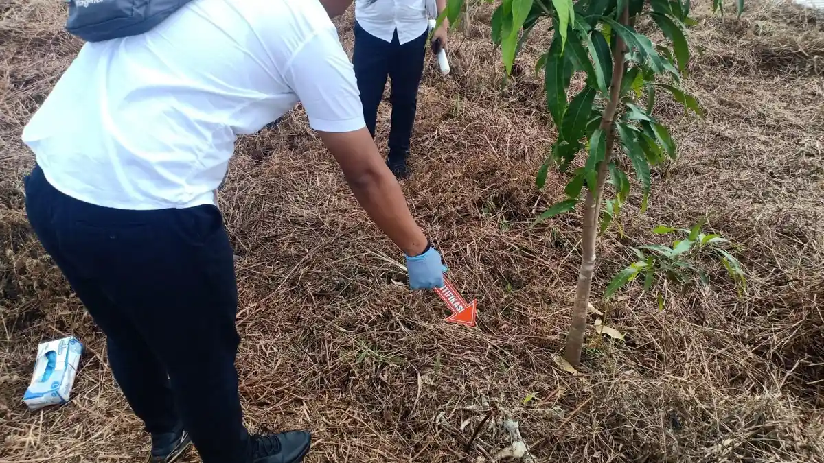 Warga Kampung Bugis Tak Sengaja Lihat Tengkorak Manusia Ketika Membersihkan Kebunnya