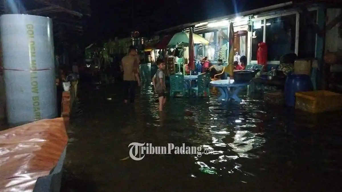 DETIK-detik Ular Piton Patok Telinga Warga, Kagetkan Warga Sekampung saat Banjir Rob Datang