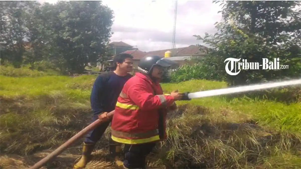 Diduga Akibat Bakar Sampah, Lahan Kosong Seluas 21 Are di Jalan Raya Munggu Kapal Terbakar