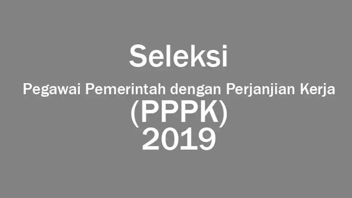 SELAMAT! 51.000-an Honorer Sah Jadi PPPK, Berikut Gaji yang Diperoleh Berdasarkan Masa Kerja