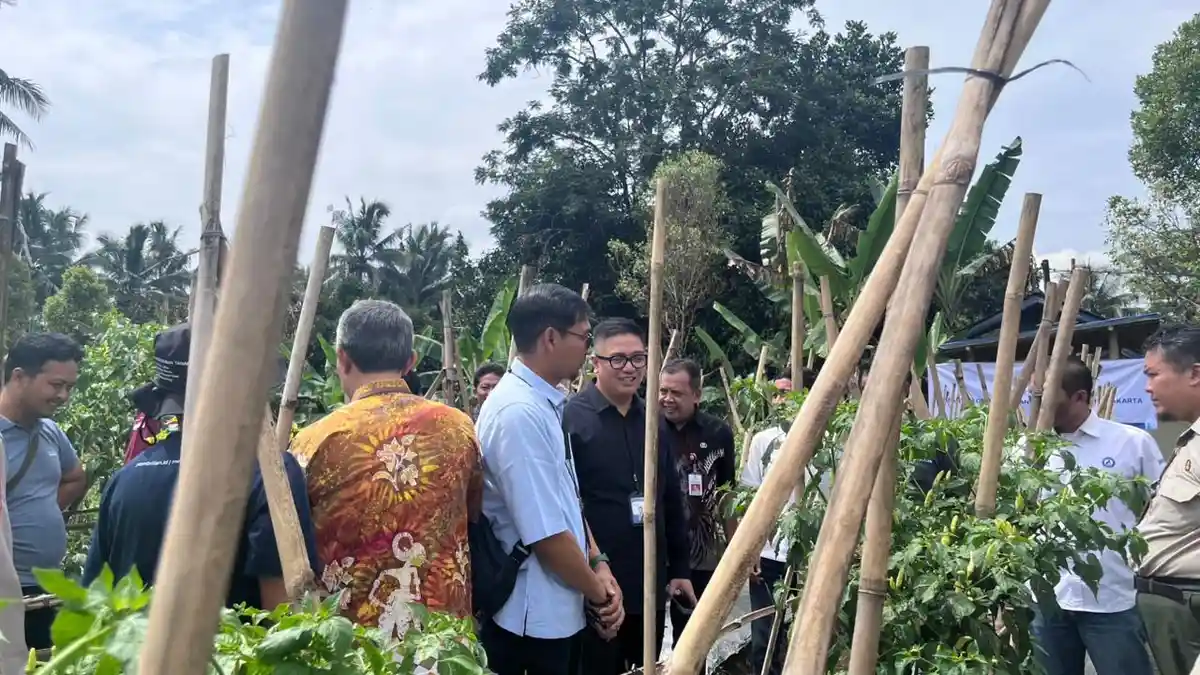 Program Pemberdayaan Petani Cabai Diluncurkan di Desa Pagerandong Purbalingga