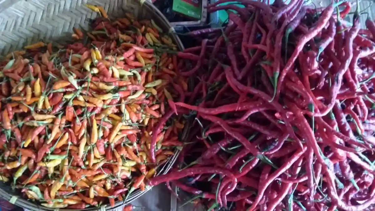 Harga Cabai di Pasar Masrum Tual Masih Meroket, Cabai Rawit Dipatok Rp. 150 Ribu Per Kilogram