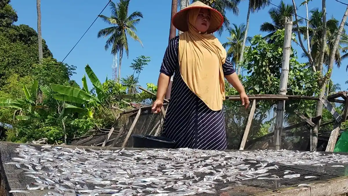 Pasokan Minim, Harga Ikan Masih Melonjak di Pijay