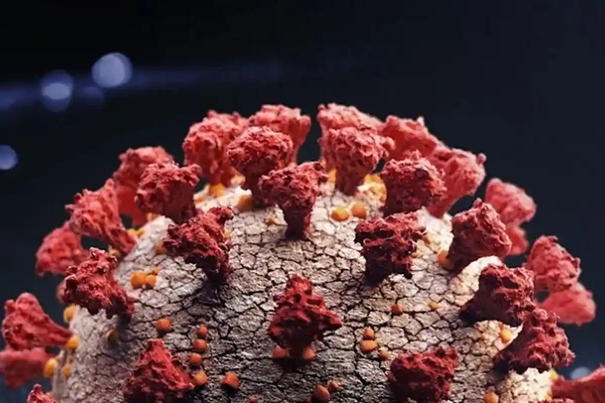 Ketahui Gejala Varian Omicron dengan Flu Biasa, Cenderung Serupa, Tapi Tetap Bisa Dibedakan