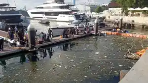 Kegiatan-Operasi-Trisila-24-TNI-AL-di-Pelabuhan-Benoa-Bali.jpg