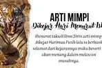 7-Arti-Mimpi-Dikejar-Harimau-Putih-Menurut-Islam-Menang-Melawan-Musuh-Benarkah.jpg