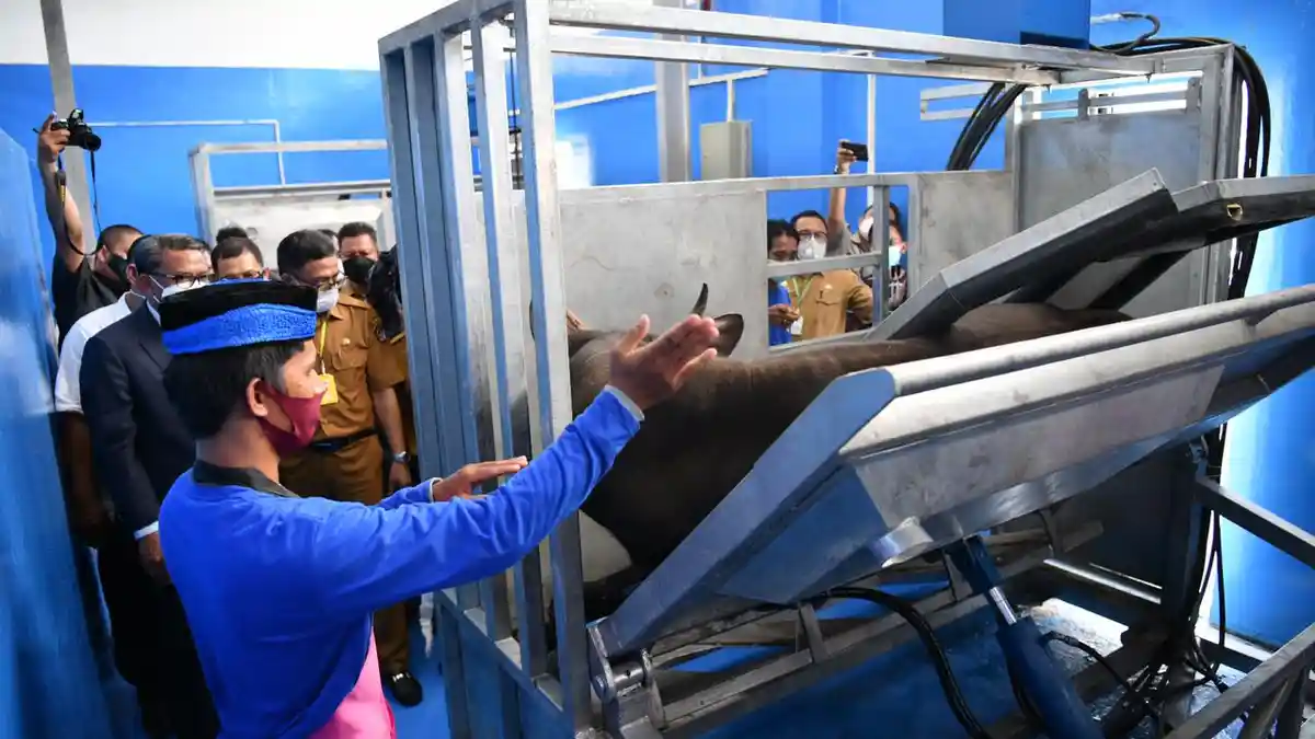 Gubernur Sulsel Resmikan Rumah Potong Hewan Modern di Manggala Makassar