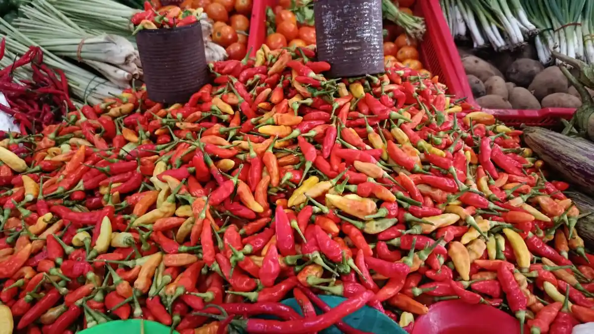 Harga Cabai Rawit di Pasar Gumumae Bula Kembali Naik, Capai Rp. 80 ribu Per Kilogram