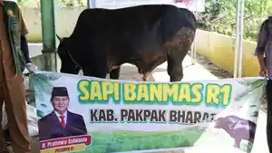 Sapi-kurban-Prabowo-Subianto-ke-papak-2026.jpg