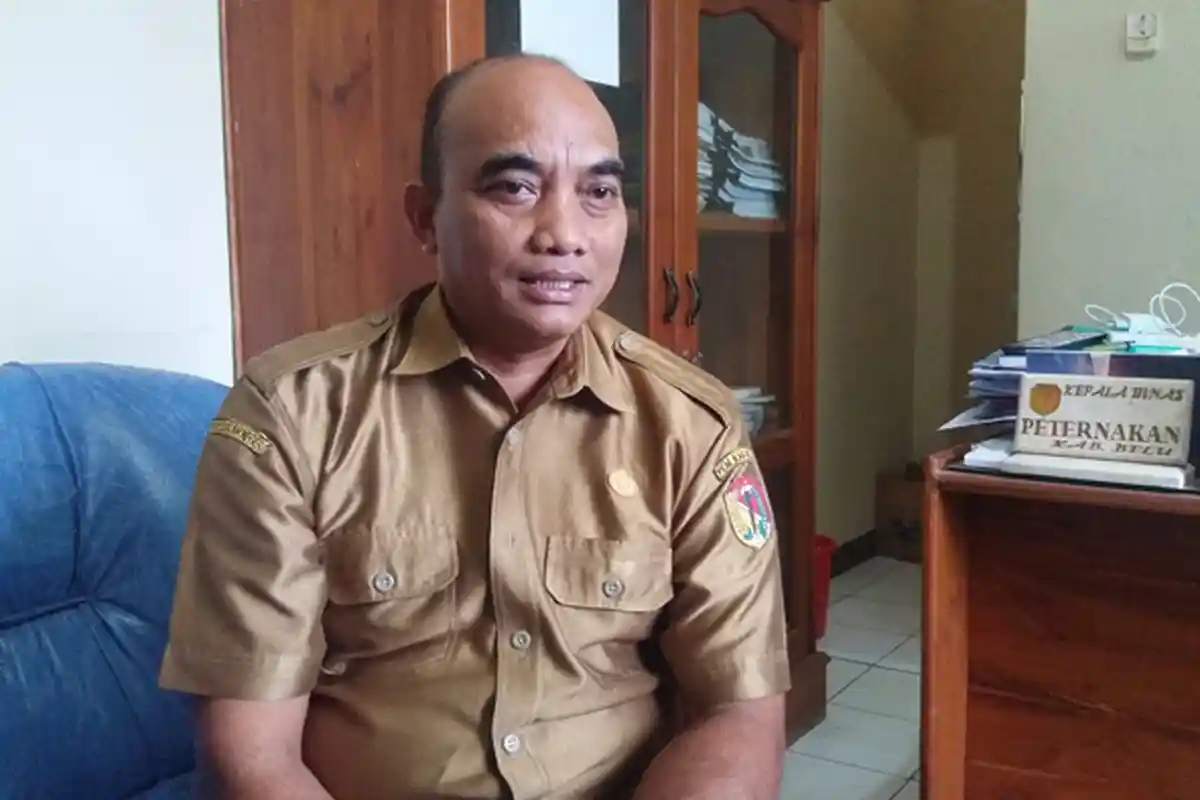 Terserang Penyakit ASF, Jumlah Ternak Babi Mati di Belu Bertambah Menjadi 753 Ekor