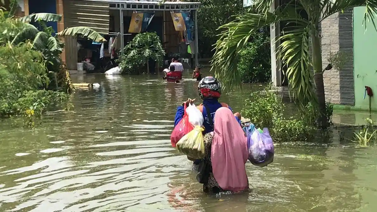 Banjir Demak Meluas sampai 115 Desa di 14 Kecamatan Demak.