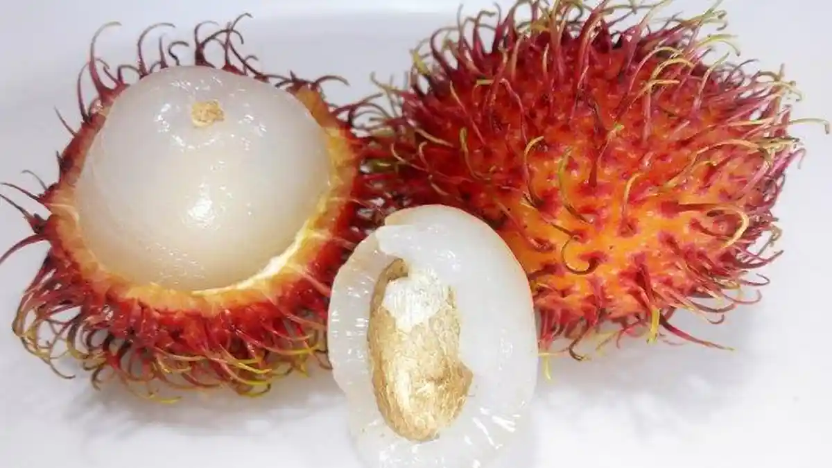 10 Manfaat Kesehatan Buah Rambutan untuk Ibu Hamil