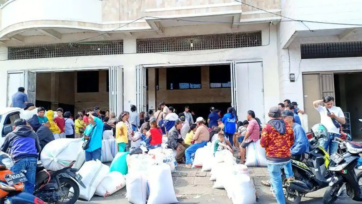 Harga Cengkih di Minahasa Naik Lagi, Tapi Petani Sebut Masih Belum Normal