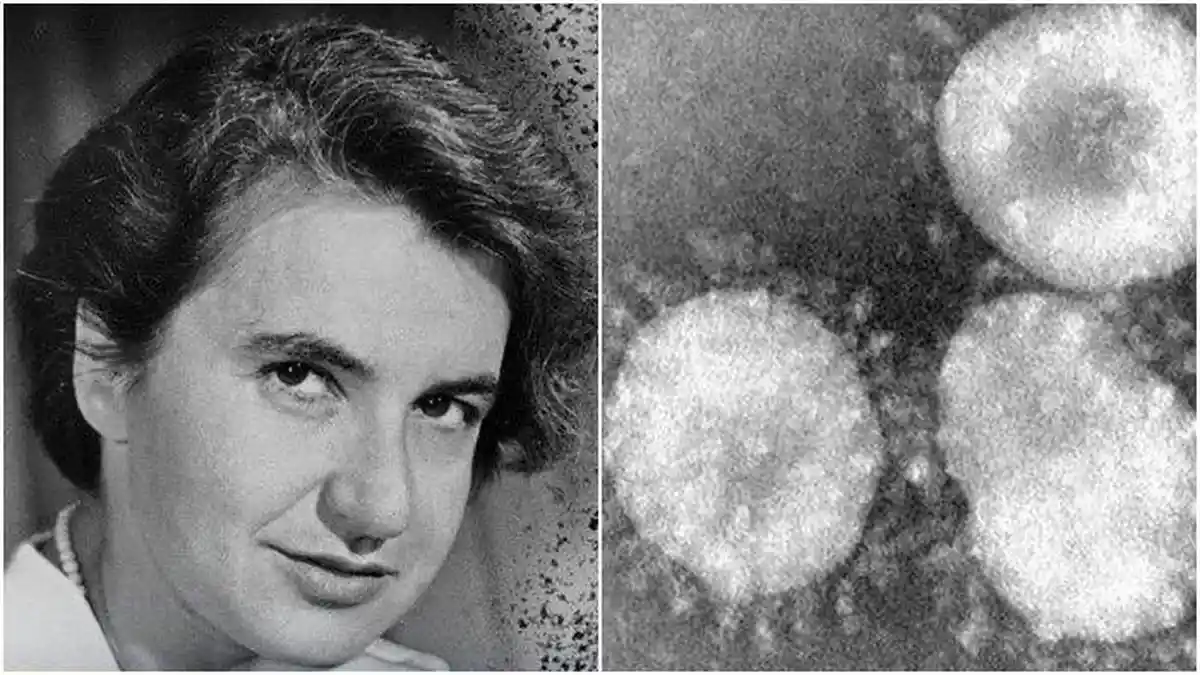 Mengenal June Almeida, Penemu Virus Corona Pertama Kali Pada Tahun 1965