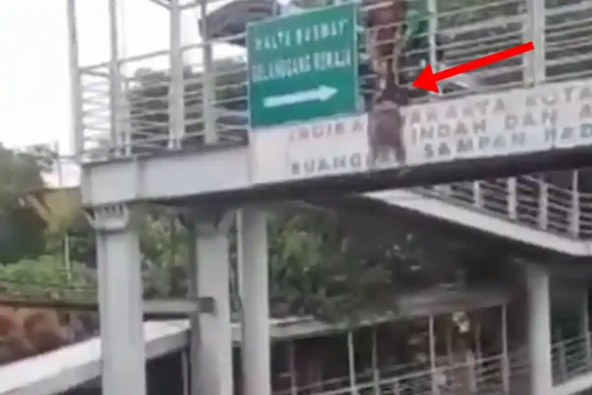Wanita Galau Bunuh Diri Lompat dari Jembatan dalam Kondisi Hamil, Gara-gara Kekasihnya, Ini Videonya