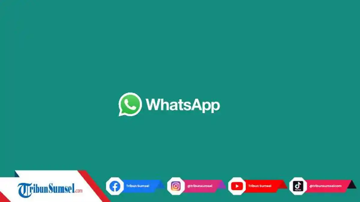 Solusi Mengembalikan Chat WhatsApp yang Terhapus di Android dan iOS, Lakukan 3 Cara Berikut