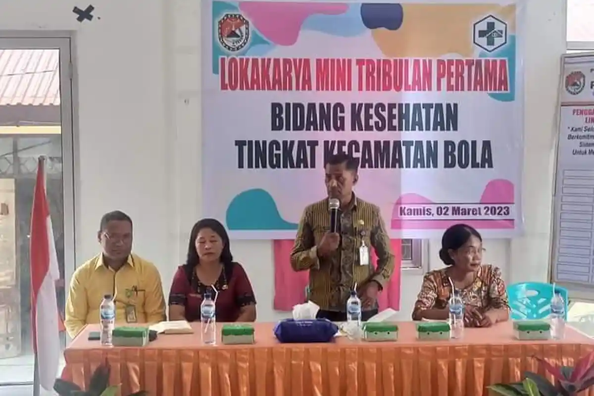 Puskesmas Bola Bedah Masalah Kesehatan Melalui Lokakarya