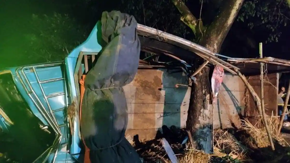 Truk Trailer Alami Kecelakaan di Salatiga, Satu Orang Tewas Tujuh Sapi Mati