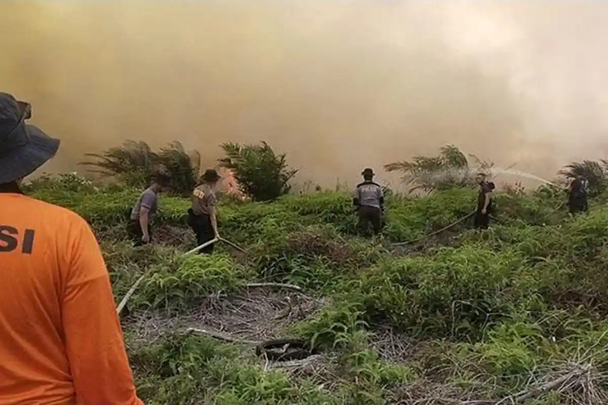 Kalbar Populer Hari Ini: Kebakaran Rumah di Pontianak Timur, Karhutla di Mempawah Hilir Meluas