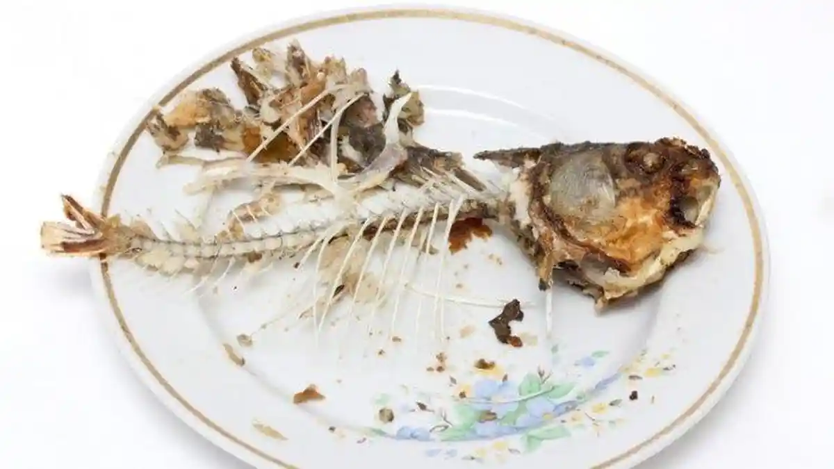 Pernah Alami Duri Ikan Nyangkut di Tenggorokan? Tenang, Begini Cara Ampuh Atasinya