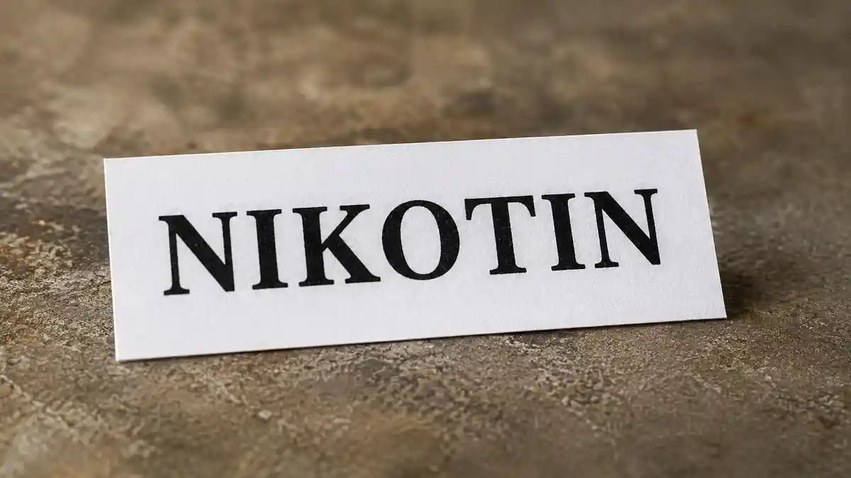 WHO Soroti Kantong Nikotin Rasa Permen, Remaja Jadi Target Baru Industri Nikotin Global