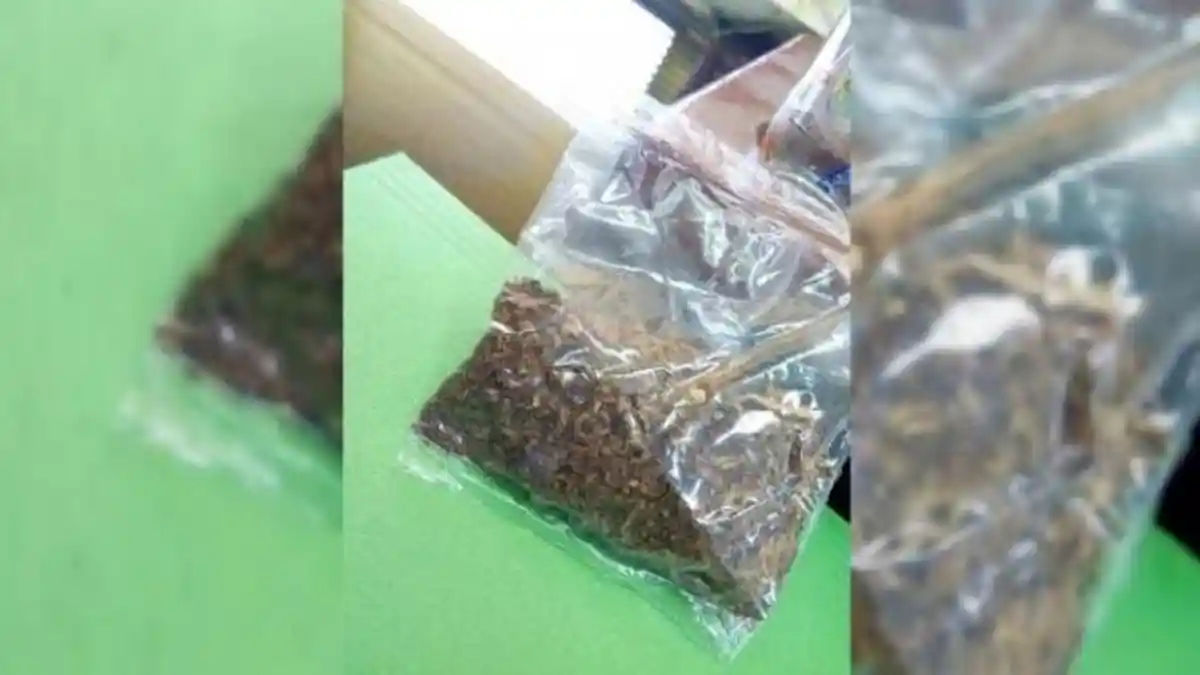 Tembakau Gorila Dijual Secara Online, Ditresnarkoba Polda Jabar Libatkan Tenaga IT