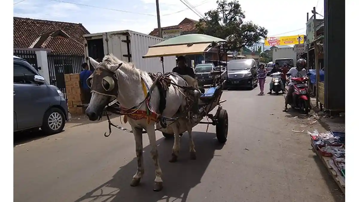603 Delman di Garut Diliburkan Selama Arus Mudik, Pemiliknya Dapat Kompensasi Rp 75 Ribu per Hari