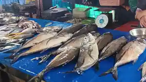 Ikan-yang-dijual-di-Pasar-Baru-Mamuju-Senin-232026.jpg