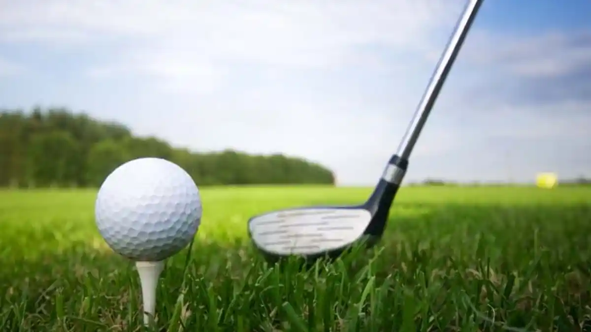 Investor Singapura Lirik Pulau Telaga untuk Golf dan Resort