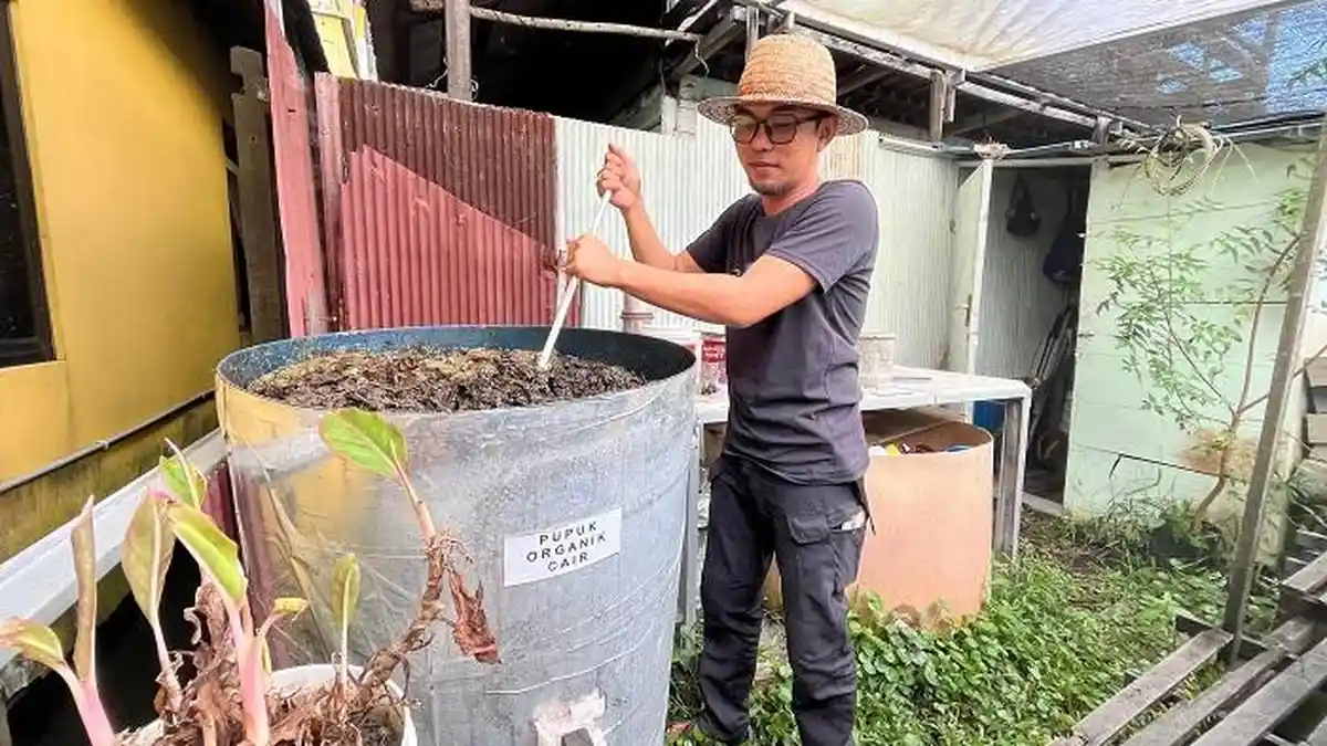 UMKM Kalsel: Hidroponik Ramah Lingkungan, Eboy Dorong Zero Waste dan Edukasi