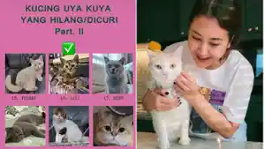 Upaya-musisi-dan-aktris-Sherina-Munaf-menyelamatkan-kucing-milik-Uya-Kuya.jpg