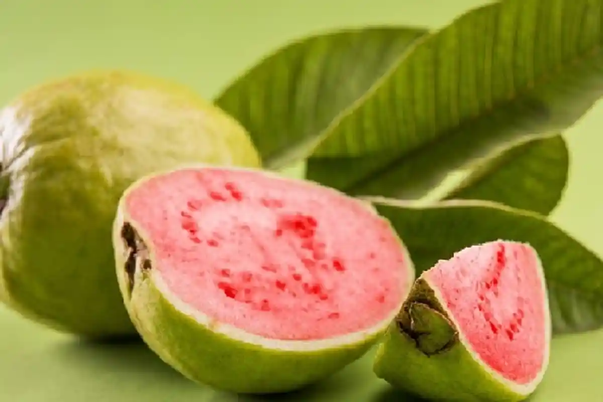 Diet Dengan Jambu Biji, Cara Mengolah Jambu Biji Untuk Turunkan Berat Badan