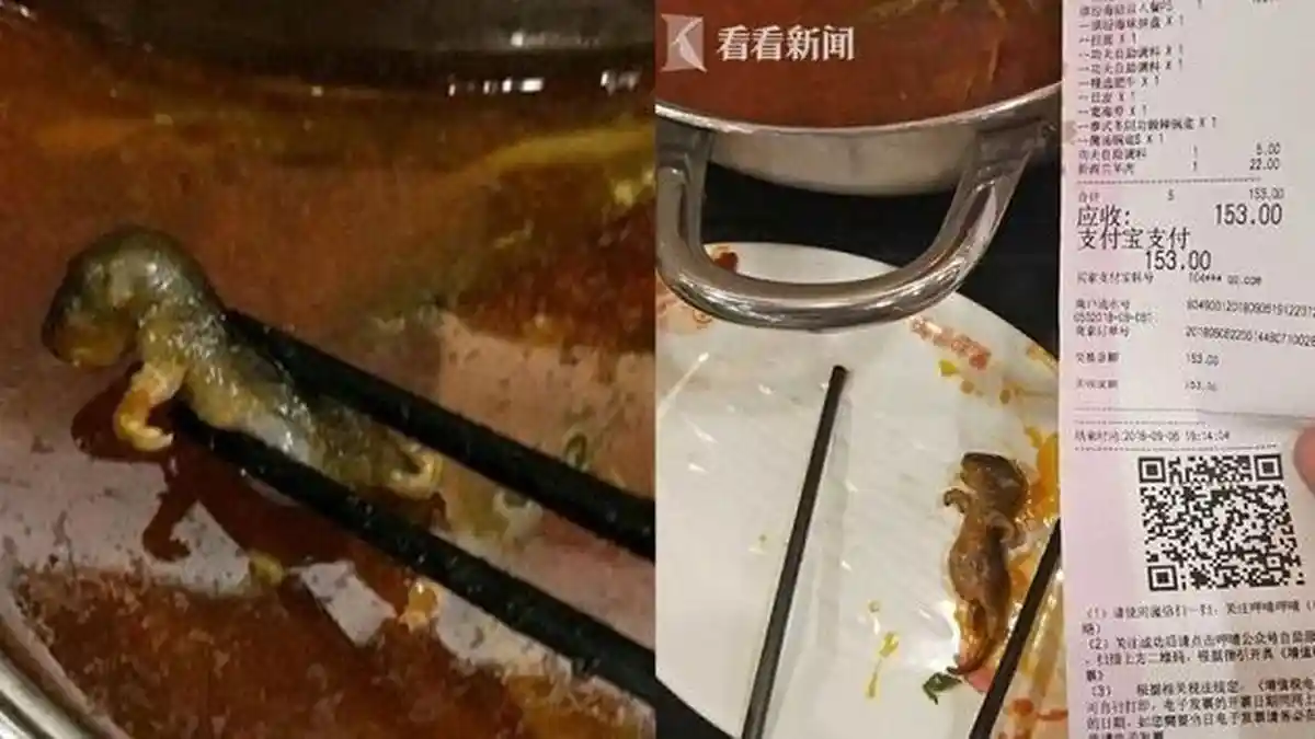 Pria ini Masukkan Bangkai Tikus ke Makanan Agar Dapat Makan Gratis di Restoran & Uang Rp 10 Miliar