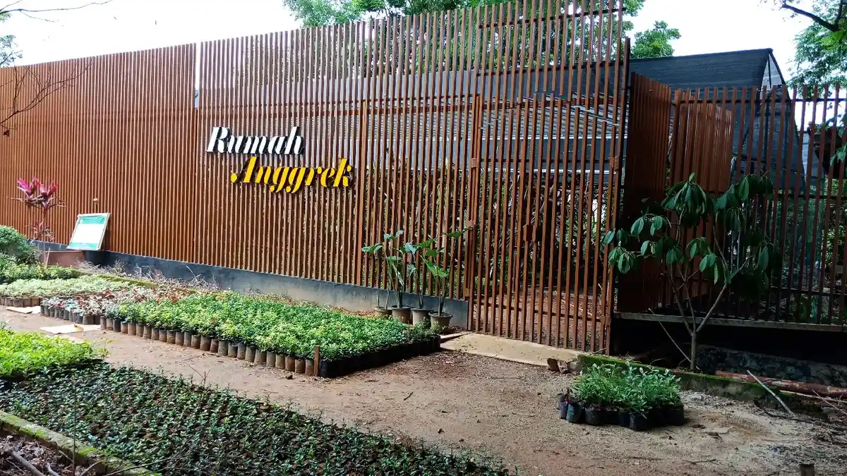 Kalselpedia: Rumah Anggrek Tanahlaut Miliki Hampir 2000 Jenis Anggrek